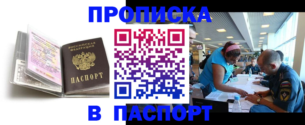 временная регистрация поиск в Палласовке